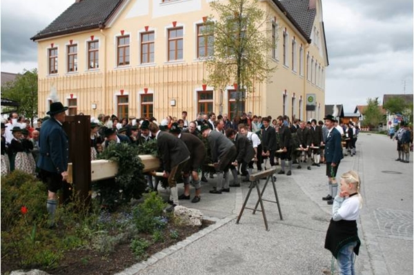 Maibaum 2008